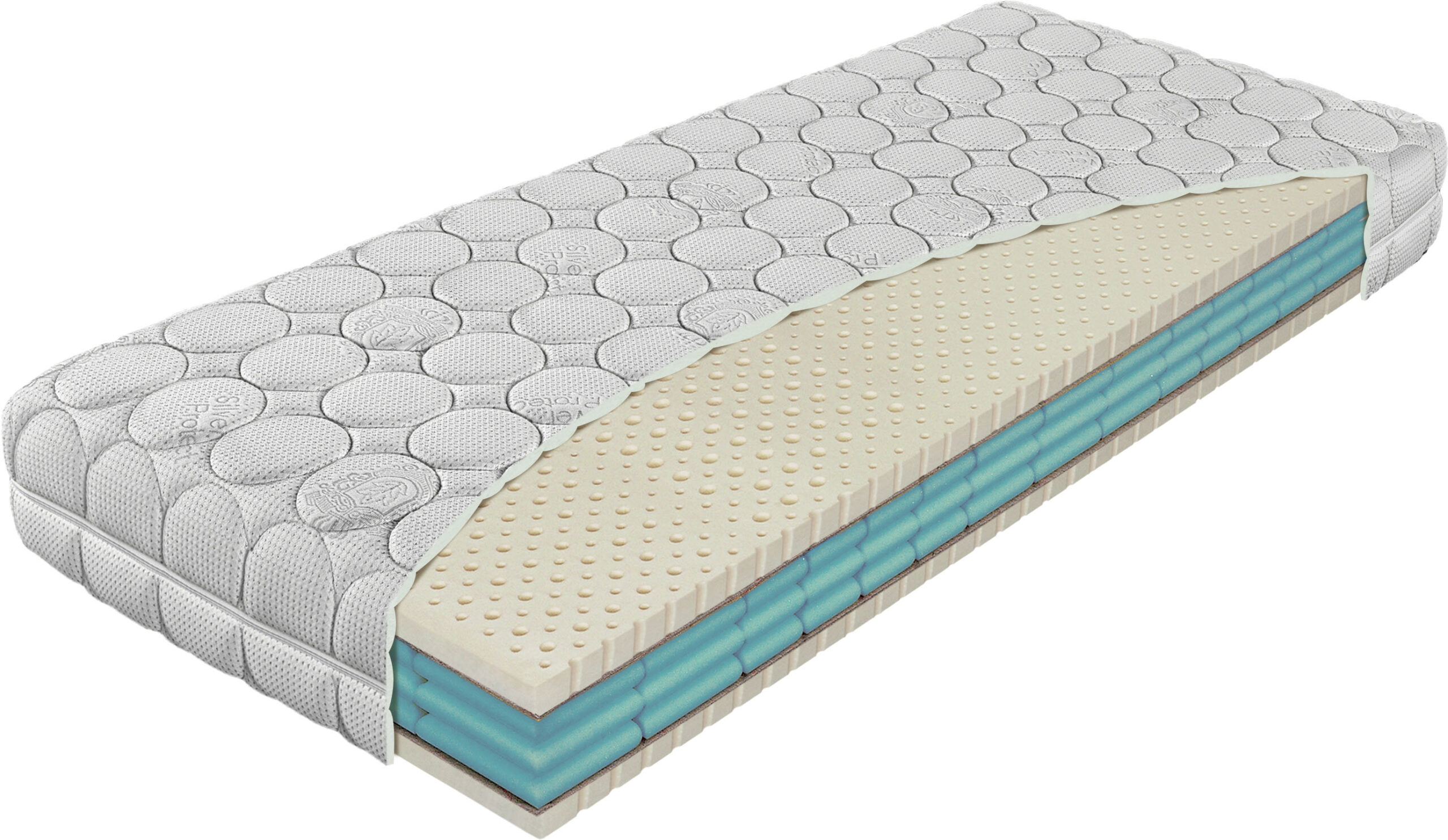 premier_biospring_silver_zips_2021_pl